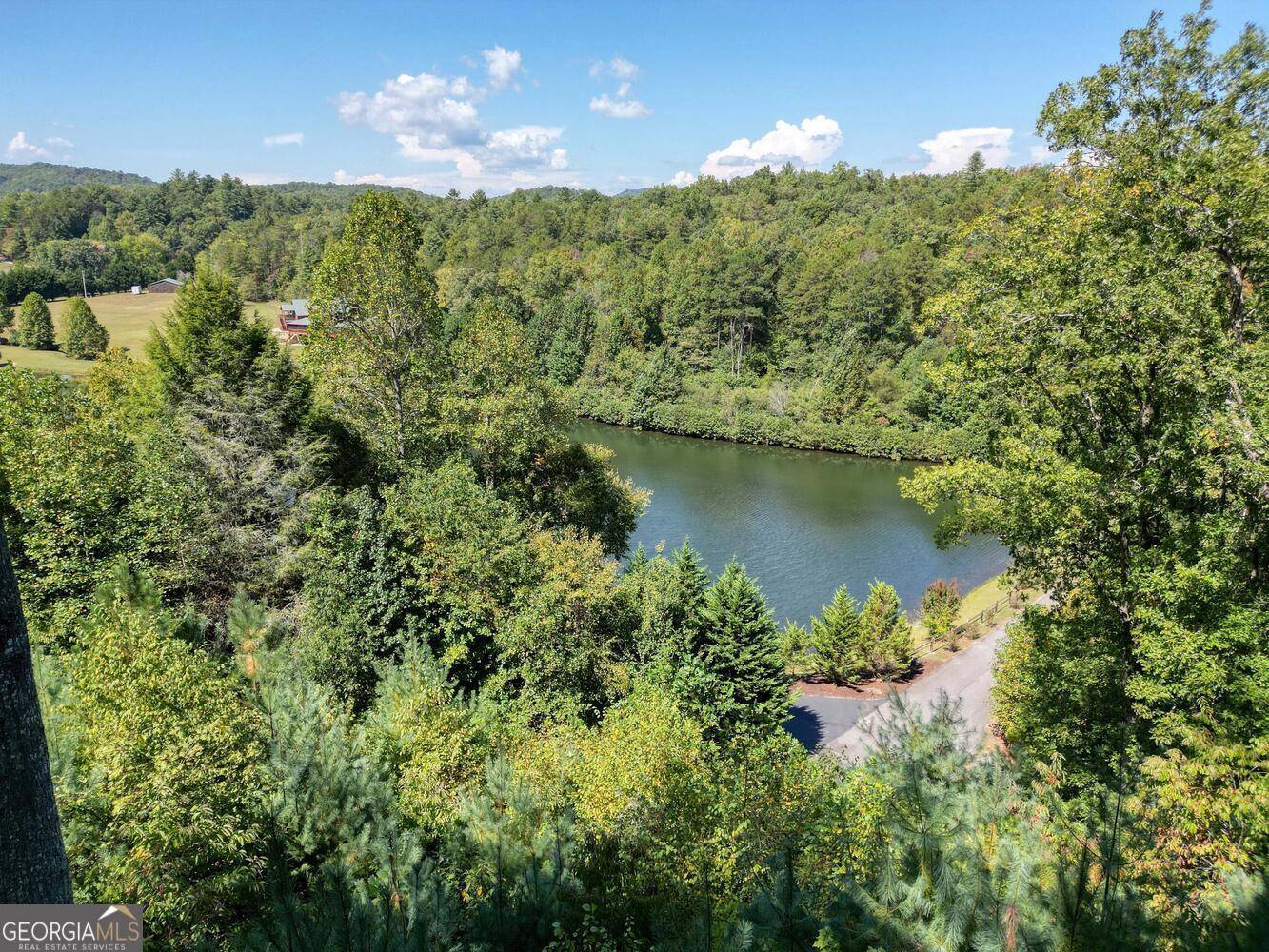 Mineral Bluff, GA 30559,221 Green Valley TRL