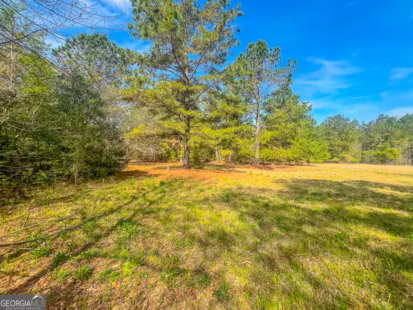 East Dublin, GA 31027,326 Nolan McCord RD