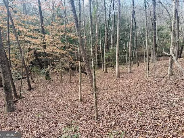Dawsonville, GA 30534,LOT 28 Fern Park DR