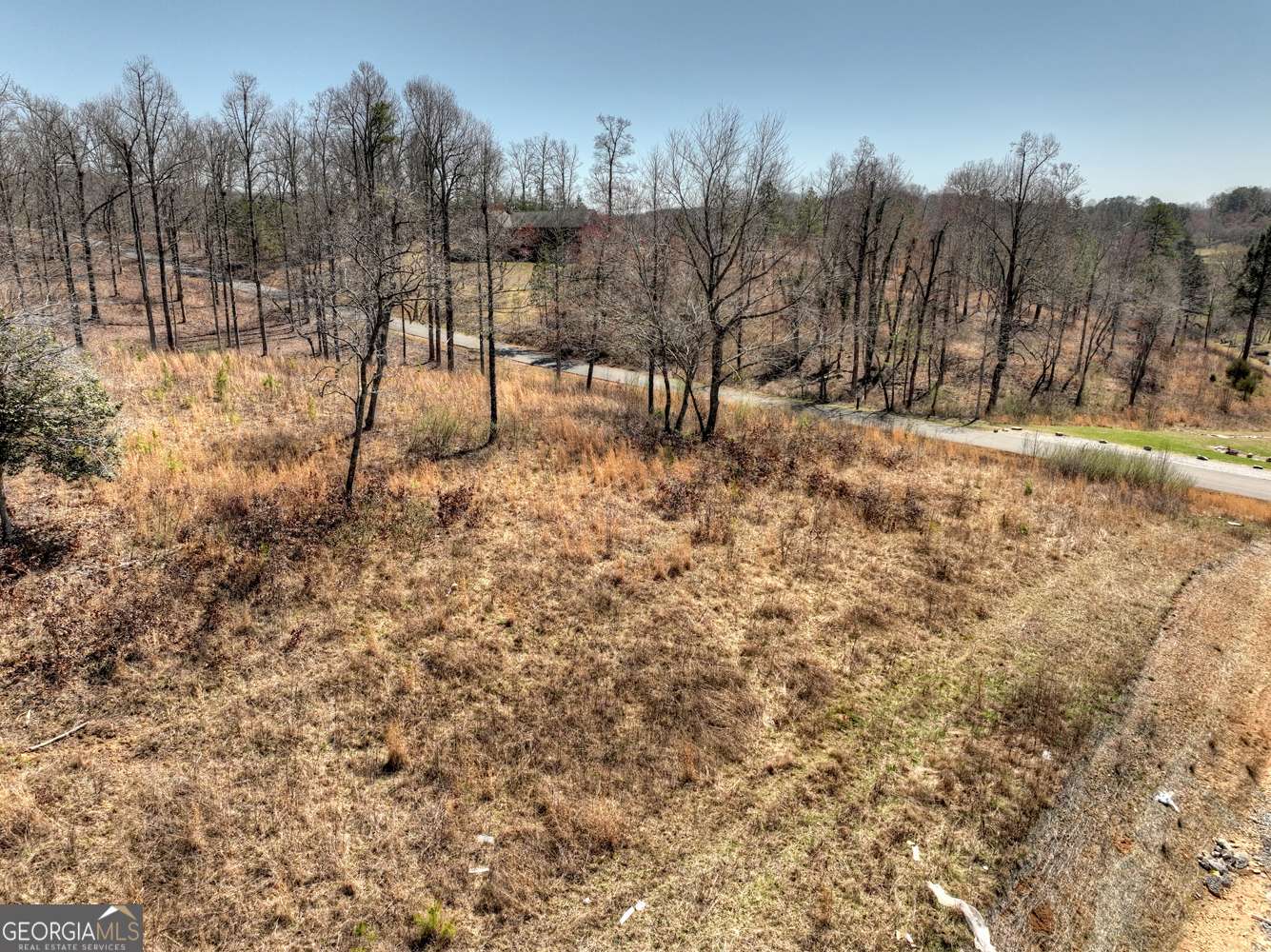 Mineral Bluff, GA 30559,2 Arbor Creek TRL