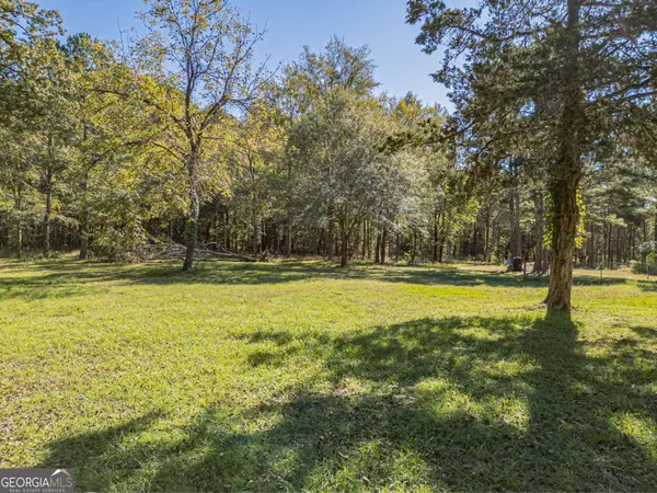 Stephens, GA 30667,145 Lower Wirebridge RD