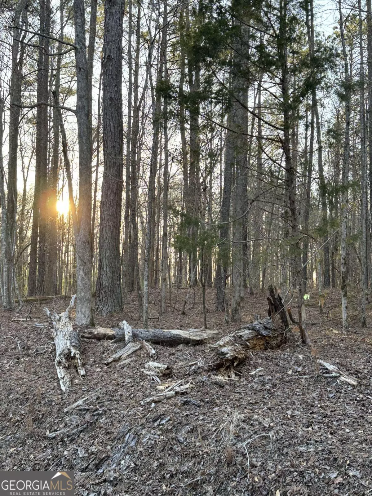 Newnan, GA 30265,0 Bill Hart RD