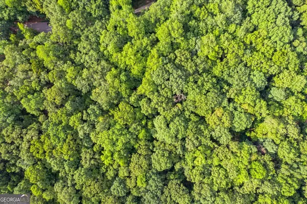 Douglasville, GA 30135,0B Charley DR