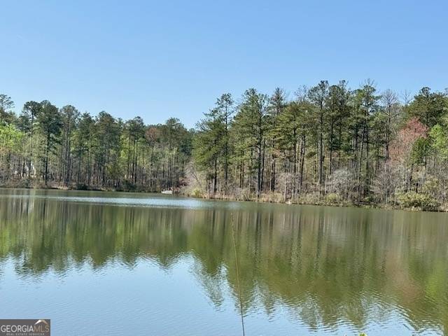 Newnan, GA 30263,0 Pierce Chapel RD