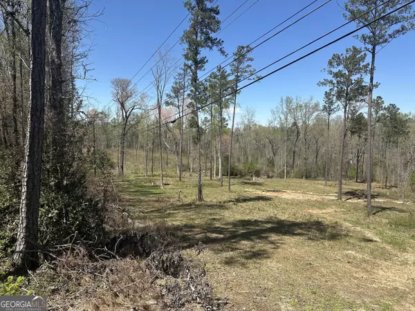 Macon, GA 31210,7069 New Forsyth RD