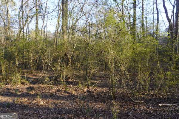 0 Whitehead RD, Oxford, GA 30054