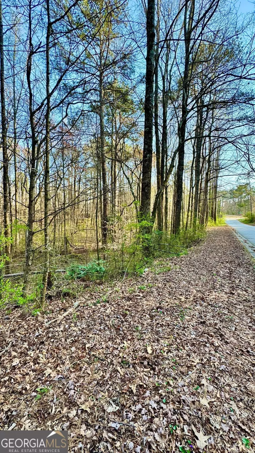 Douglasville, GA 30135,0 S Seminole