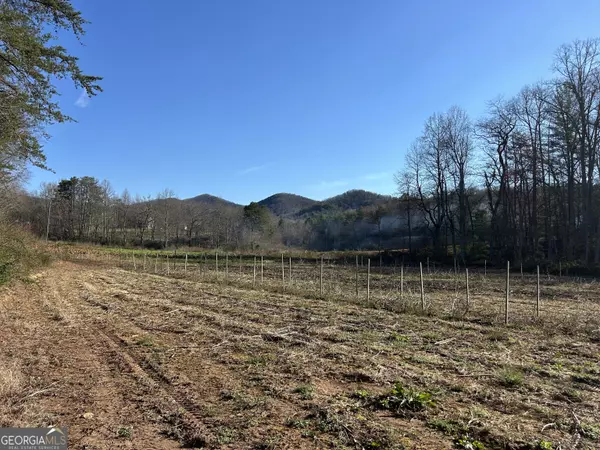 Blairsville, GA 30512,26.35 AC Brasstown Creek RD