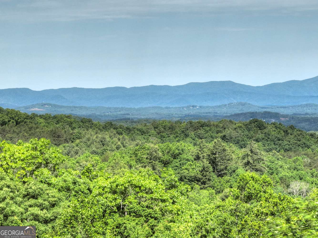 Morganton, GA 30560,54 Channing HOLW