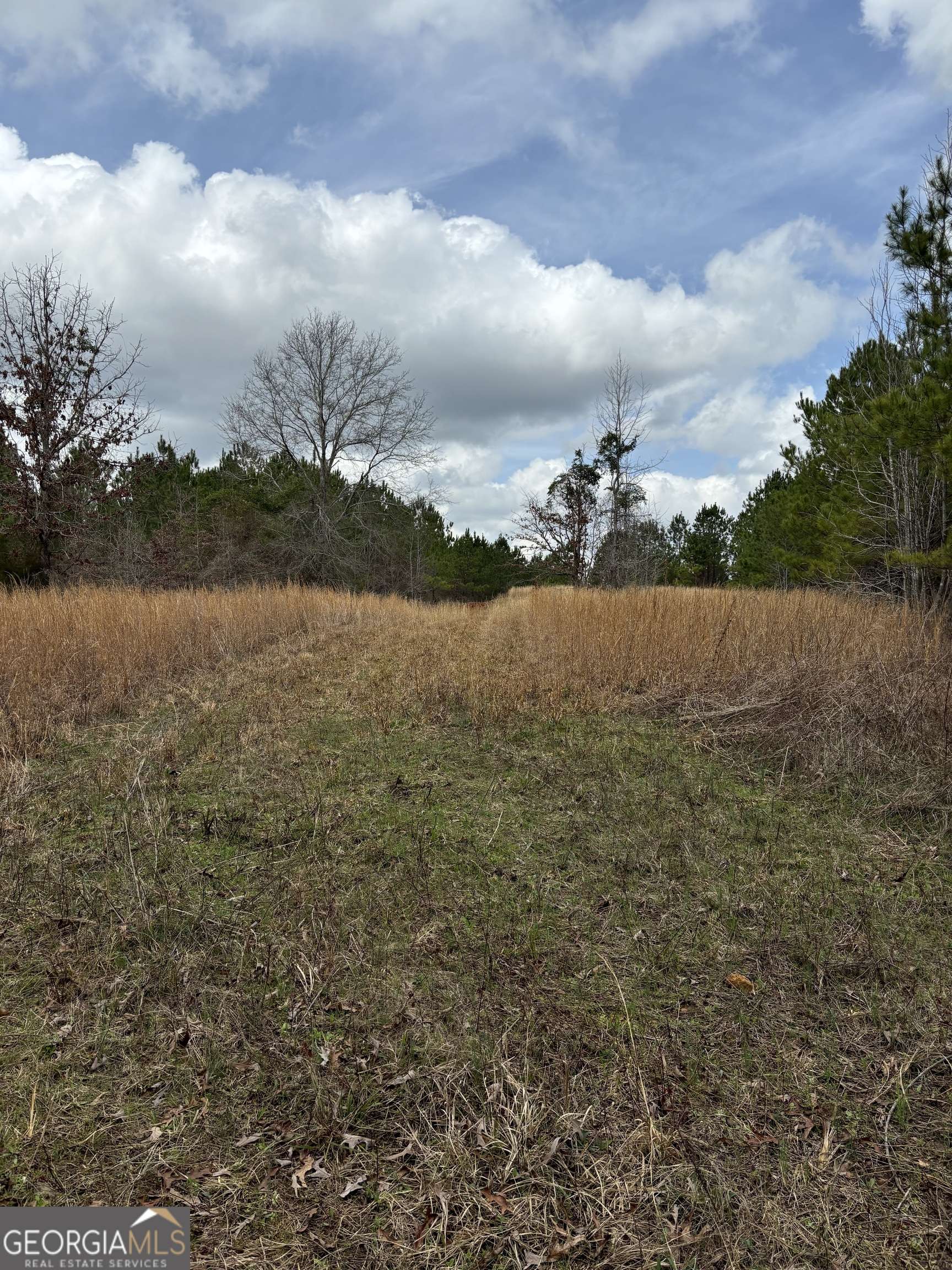 Camp Hill, AL 36850,0 Country Road 118