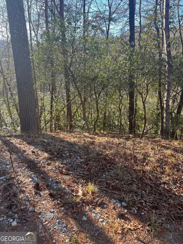 Rabun Gap, GA 30568,0 Sylvan Lake DR #47,48