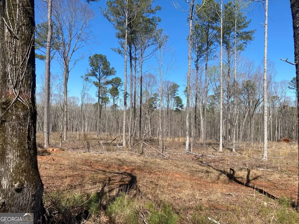 Forsyth, GA 31029,659 Giles RD