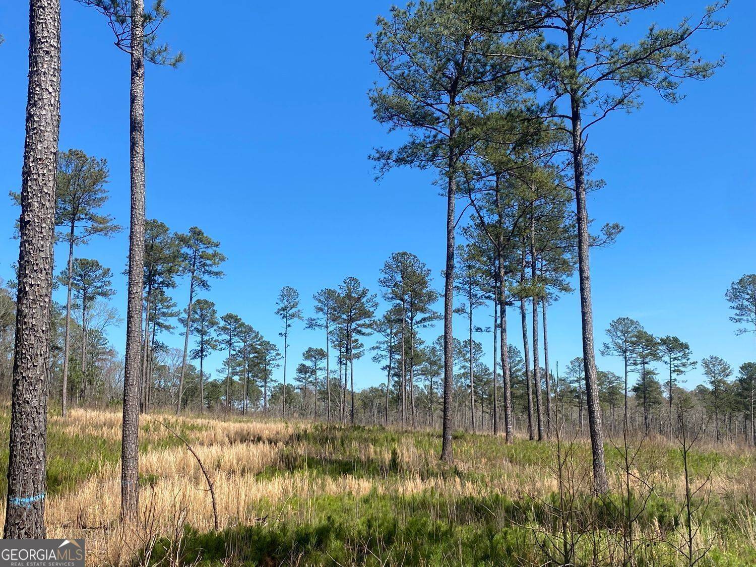 717 Giles RD, Forsyth, GA 31029