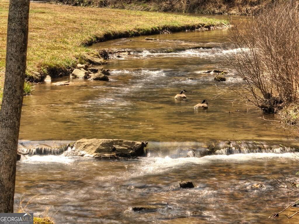 Cherry Log, GA 30522,908 Cashes Valley RD