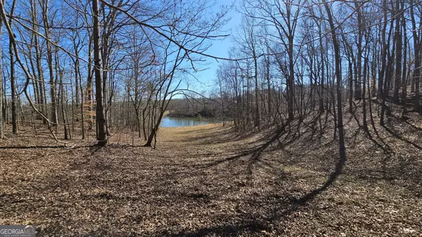Dallas, GA 30132,LOT 2 Snote Jones RD