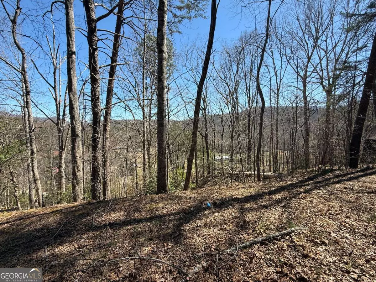 Hiawassee, GA 30546,1035 Sky Hawk Mountain DR