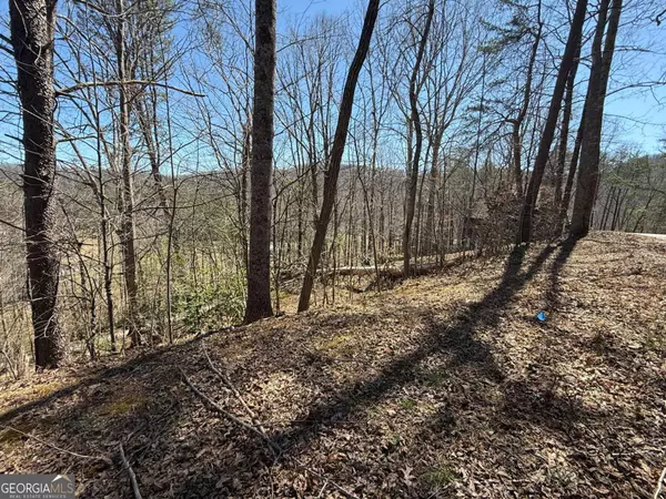 Hiawassee, GA 30546,1035 Sky Hawk Mountain DR