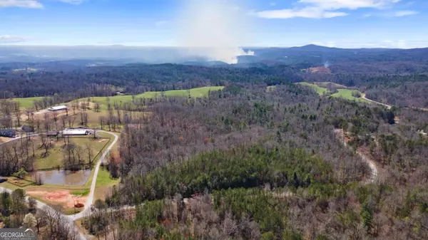 Dawsonville, GA 30534,0 Afton #1 RD