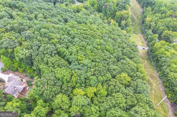 Cleveland, GA 30528,349 Turner Ridge DR
