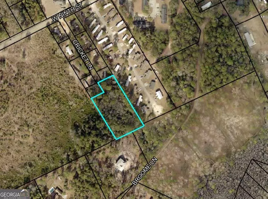 Rincon, GA 31326,0 Cricket LN