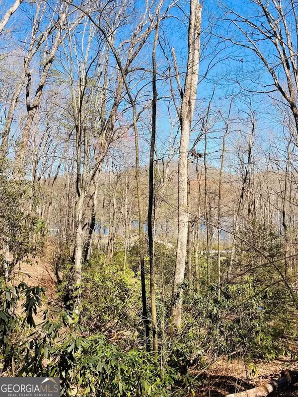Clarkesville, GA 30523,0 Ivy Ridge Way Lot 6