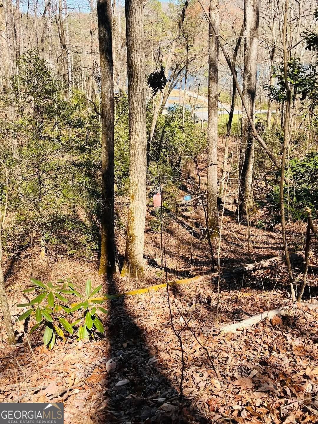 Clarkesville, GA 30523,0 Ivy Ridge Way Lot 6