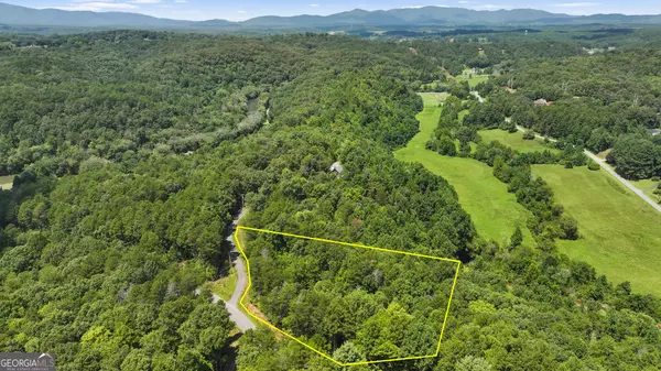 Mineral Bluff, GA 30559,LOT 41 Tomahawk LN #41