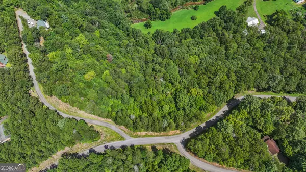 Mineral Bluff, GA 30559,LOT 41 Tomahawk LN #41