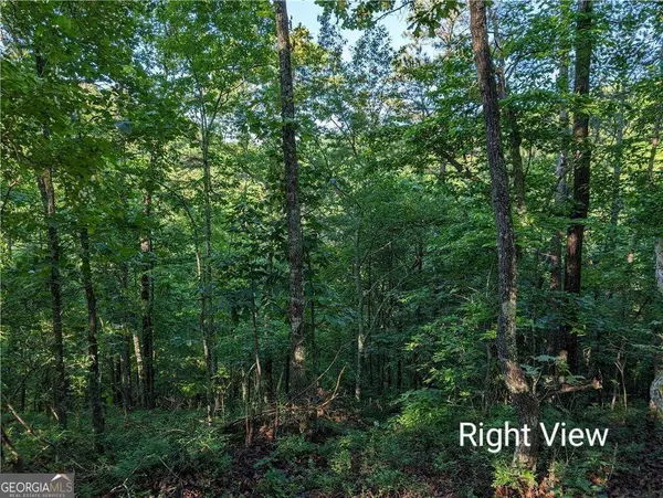 Ranger, GA 30734,772 Naomi CT
