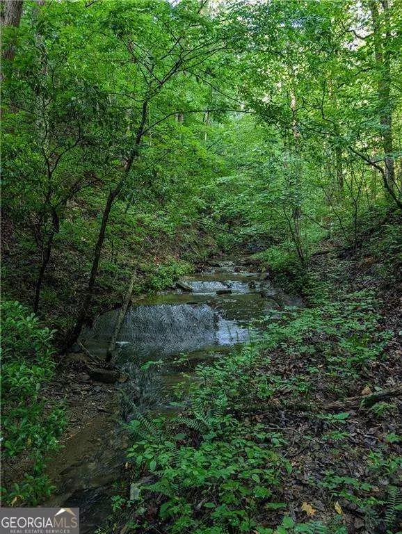 Ranger, GA 30734,772 Naomi CT