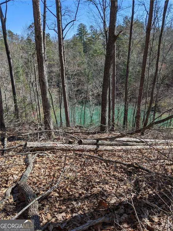 Morganton, GA 30560,0 My Mountain RD