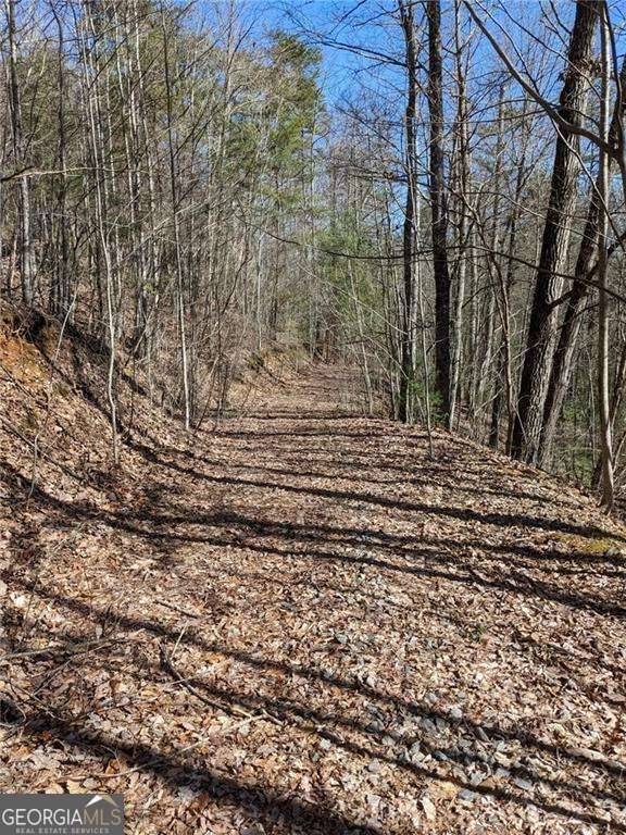 Morganton, GA 30560,0 My Mountain RD
