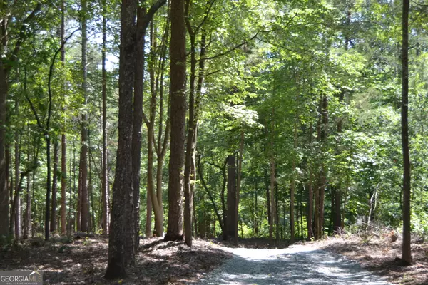Hartwell, GA 30643,913 Paynes Creek RD #LOT 11