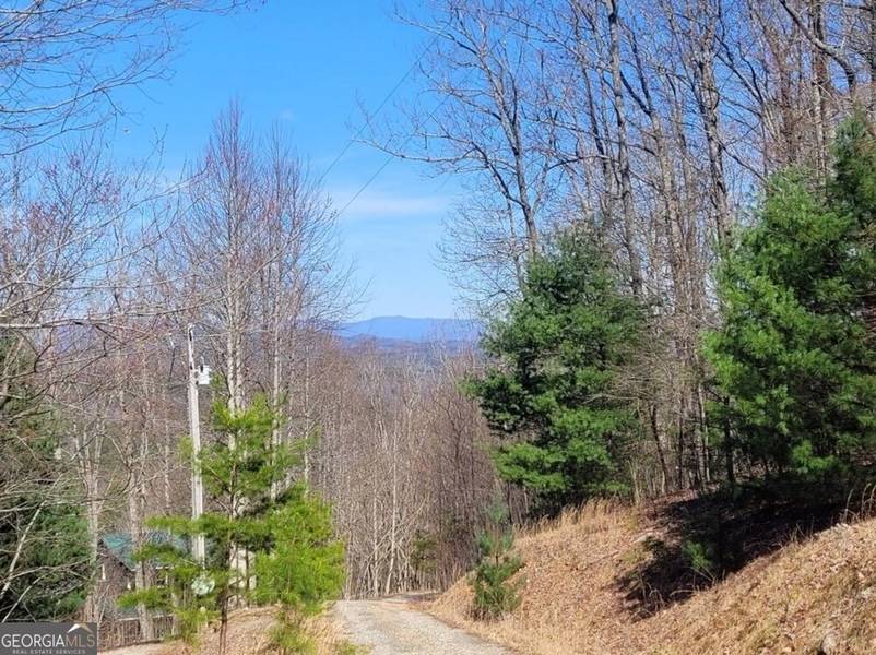 6.51 High Country LN #11, Morganton, GA 30560