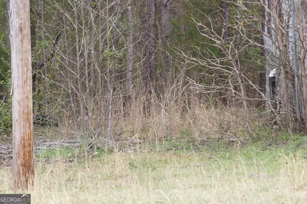 Carlton, GA 30627,349 New Hope Vesta RD