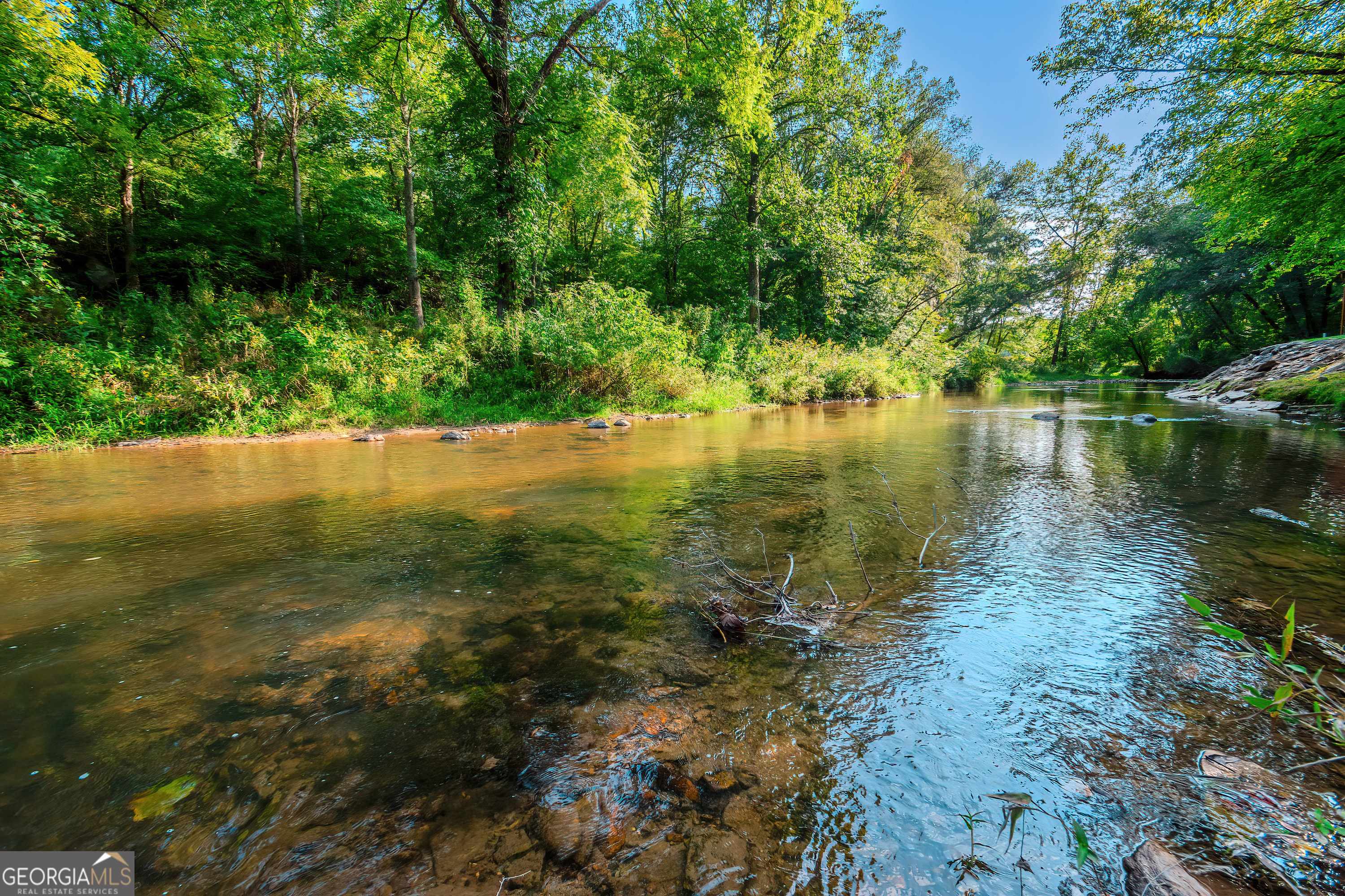 Mineral Bluff, GA 30559,1.40 Mountain Rivers RD