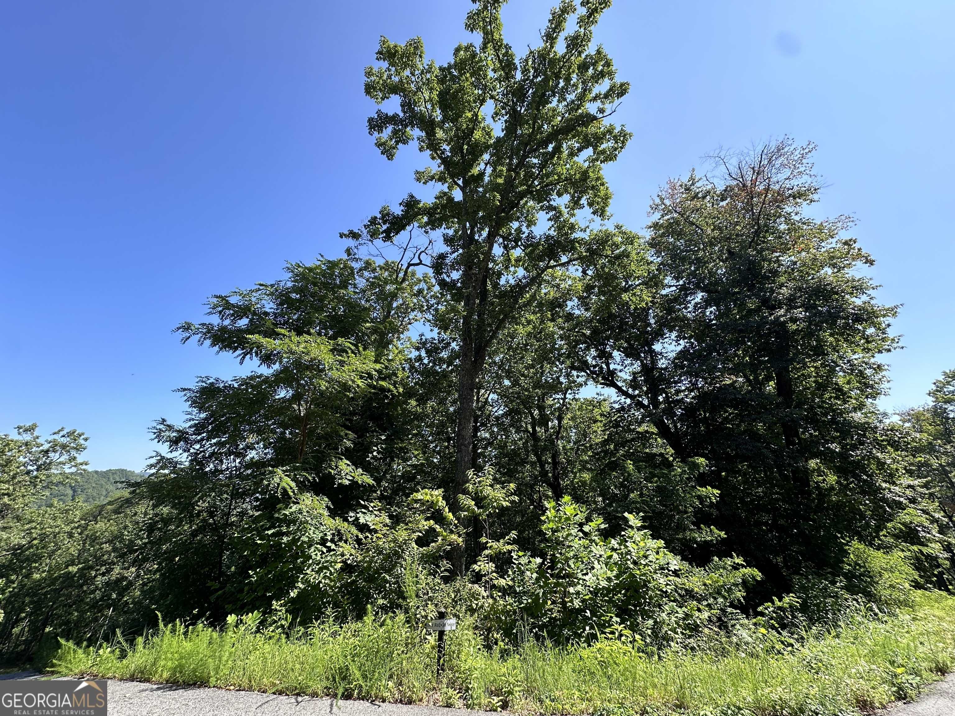 Clarkesville, GA 30523,0 Ivy Ridge WAY