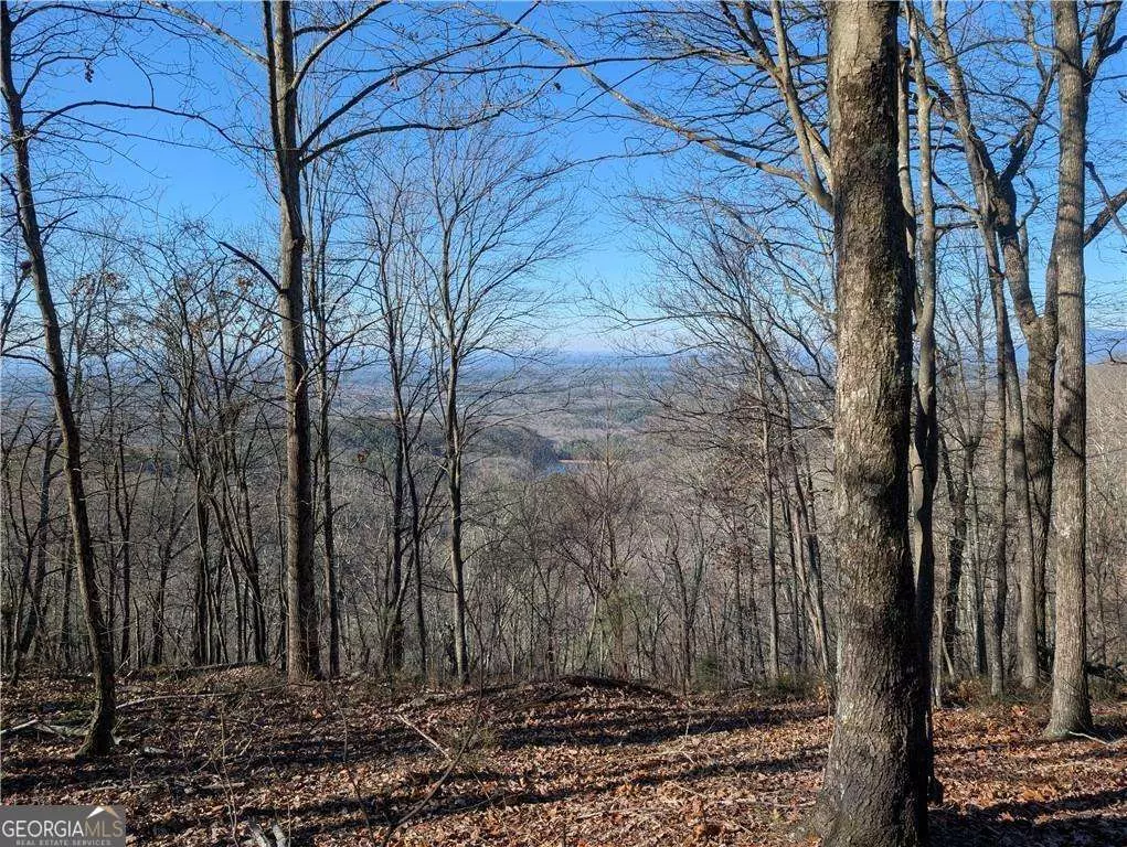 Ranger, GA 30734,234 Stirratt RD