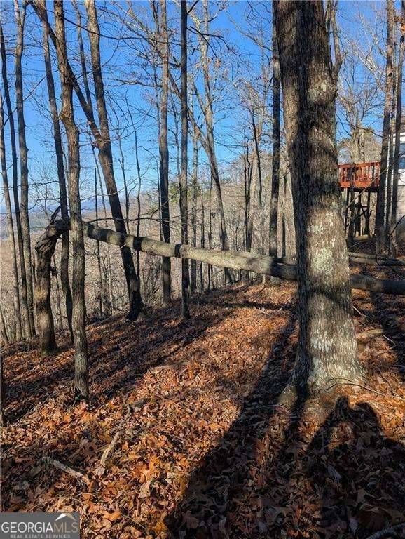 Ranger, GA 30734,234 Stirratt RD