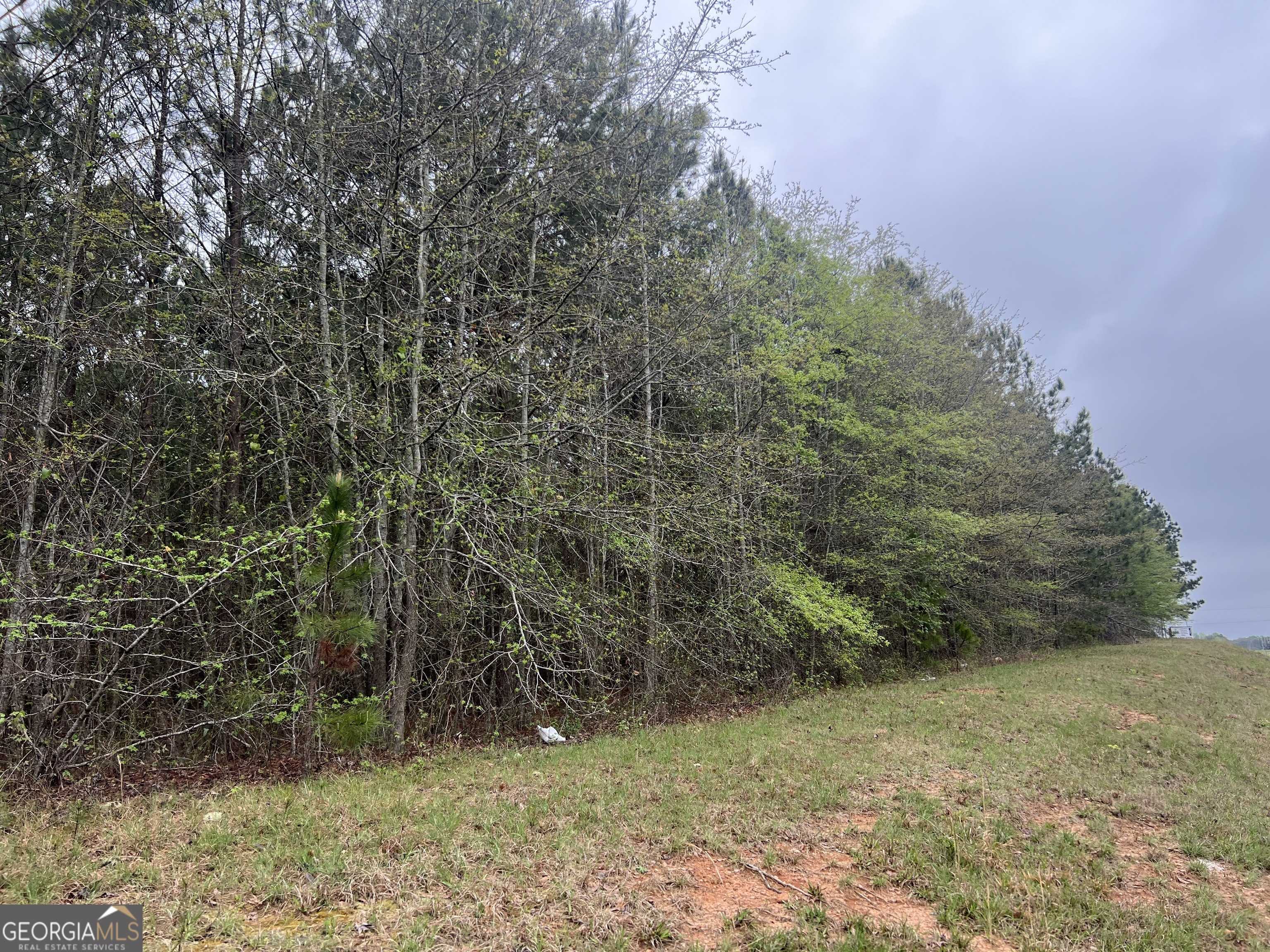 Barnesville, GA 30204,0 Highway 41