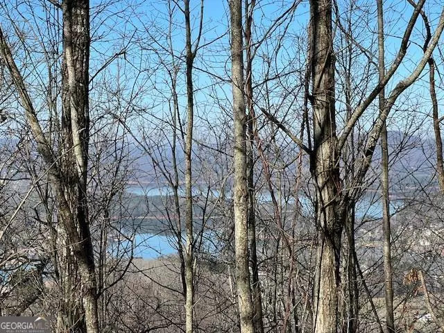 Hayesville, NC 28904,LOT 54 Dan Knob
