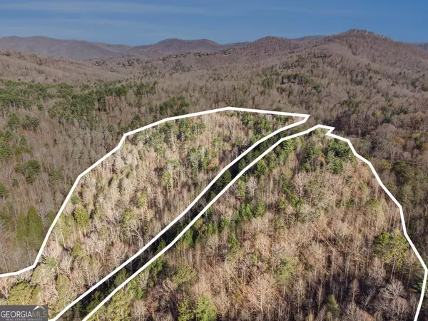 Ellijay, GA 30540,0 Bryant Farm LN