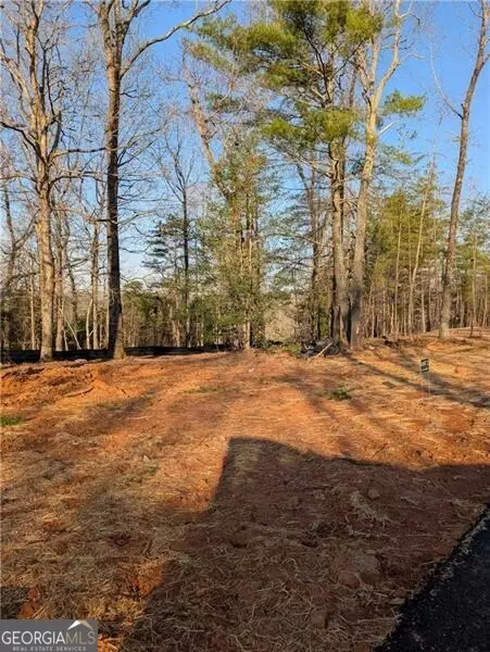 Dahlonega, GA 30533,0 Yahoola Ridge