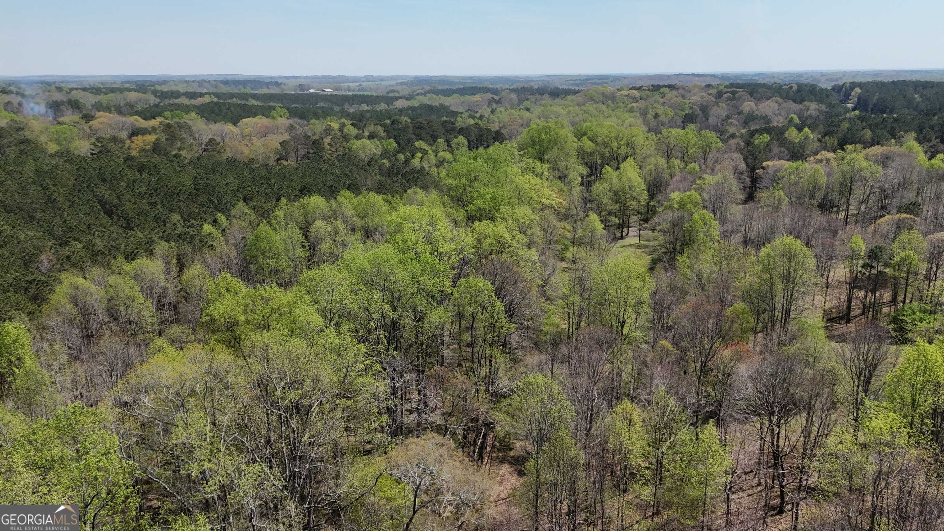 Colbert, GA 30628,668 Forest LN