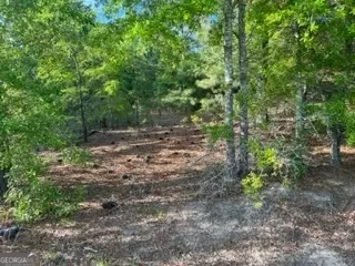Eufaula, AL 36027,51+/-AC S Hwy 431
