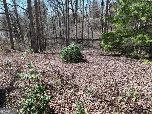 Blue Ridge, GA 30513,LOT 91 Peyton DR