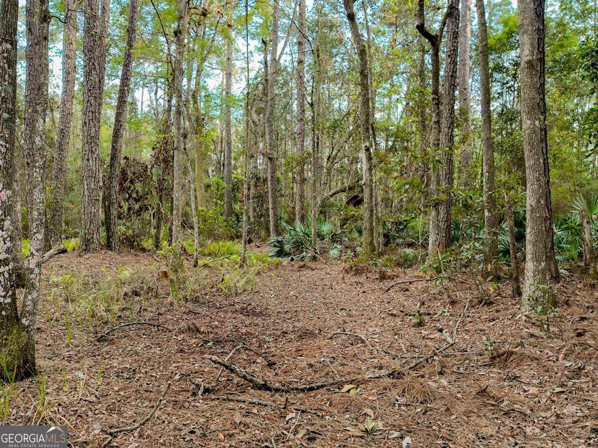 Woodbine, GA 31569,0 Marina Isle Dr, , GA