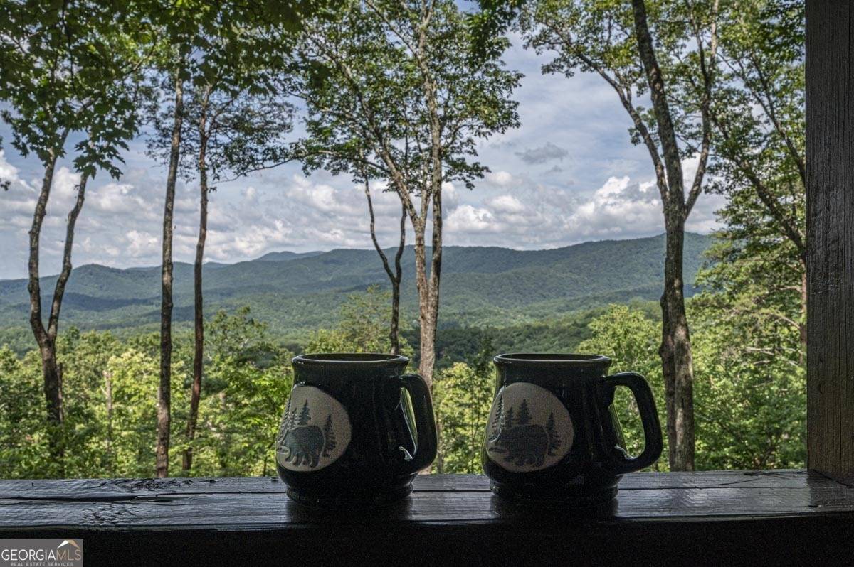 Blue Ridge, GA 30513,160 Arrowhead PASS