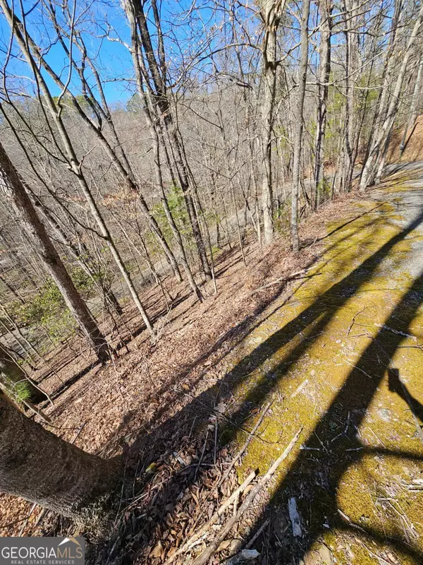 Ellijay, GA 30536,LOT 26 Oak Ridge WAY