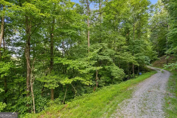 Ellijay, GA 30540,0 Flat Ridge RD